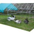 Kerbl Outdoor Run for Rabbits and Chickens