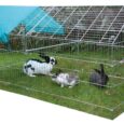 Kerbl Outdoor Run for Rabbits and Chickens