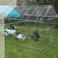 Kerbl Run Extension for Outdoor Pen 70345