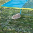 Kerbl Small Animal Run with Breakout Barrier – 115 × 115 × 65cm