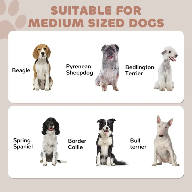 Dog Feeding Station with Storage Cabinet and Two Bowls – Black and Brown