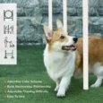 Dog Agility Set with Hurdle, Ring and Weave Poles