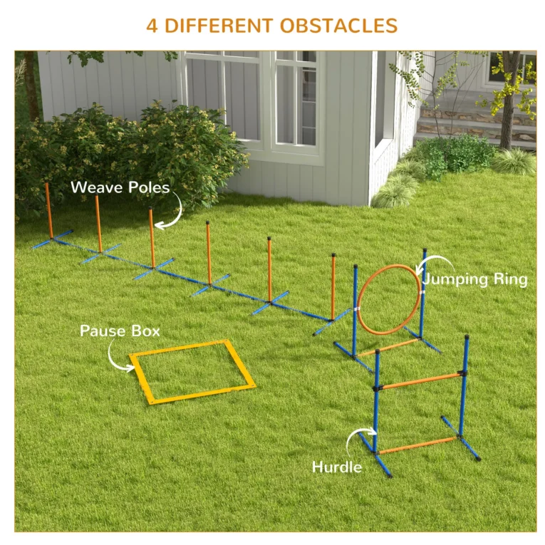Dog Agility Set with Ring, Hurdle and Weave Poles – Orange