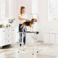 Folding Dog Grooming Table with Adjustable Arm – Black, 81cm