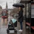 Folding Pet Stroller with Rain Cover – Green, 15kg