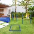 Dog Agility Training Set Adjustable (Poles, Hurdle, Tunnel) – Blue and yellow