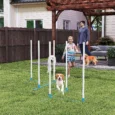 Six-Pole Dog Agility Weave Set with Carry Bag – Blue and White