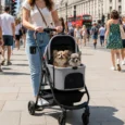 Three-in-One Pet Stroller with Detachable Carrier – Grey