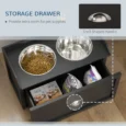 Raised Double Dog Feeder with 21L Drawer – Black