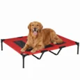 Elevated Dog Bed XX Large 122x92cm – Red