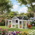 Wooden Chicken Coop with Nesting Box Outdoor – Grey, White Black