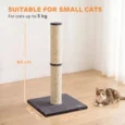 Tall Sisal Cat Scratching Post with Plush Base – Dark Grey, 80cm