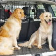 Adjustable Steel Dog Car Guard – Black, 93–150cm