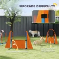 Portable Dog Agility Set with Jumps and Weave Poles – Orange