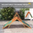 Adjustable Wooden A-Frame Dog Agility Ramp – Orange and Green