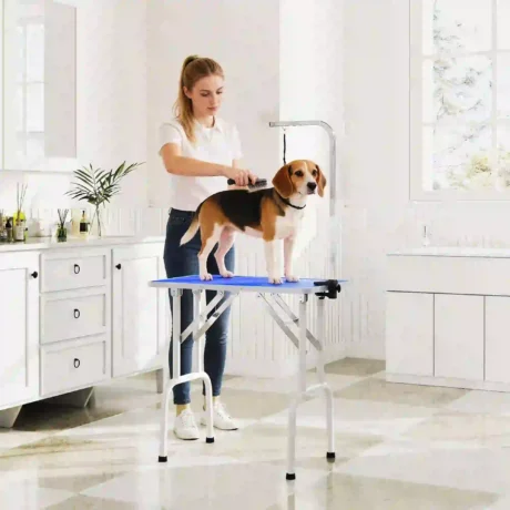Folding Dog Grooming Table with Adjustable Arm – Blue, 81cm