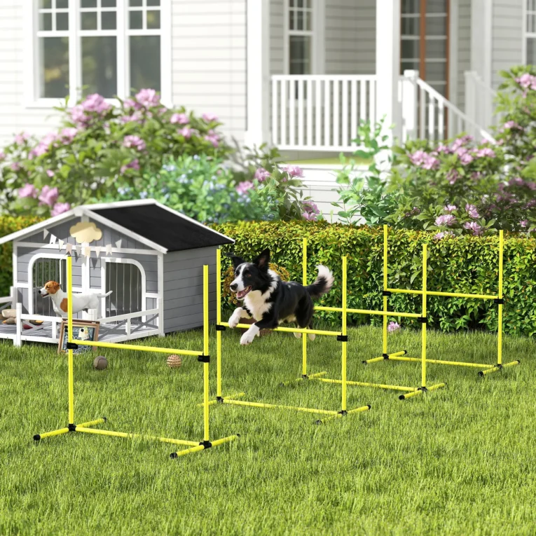 Dog Agility Training Set Adjustable Outdoor – Yellow