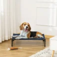 Elevated Dog Bed Portable Camping Cot Medium – Blue and Black