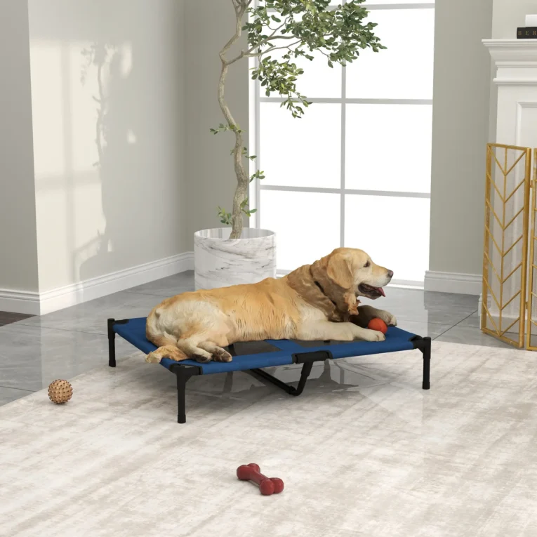 Raised Dog Bed Portable Cot Large – Blue and Black