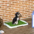 Artificial Grass Puppy Toilet with Removable Tray – Blue