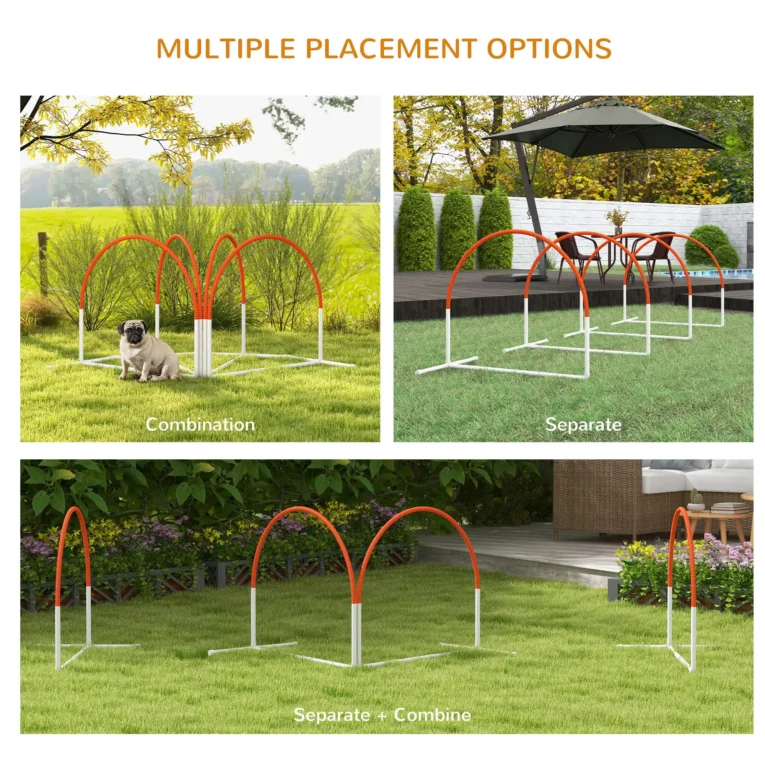 Four-Piece Dog Agility Set with Carry Bag – Orange and White