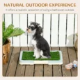 Portable Puppy Training Pad with Tray 46.5x34cm – Blue, white and green