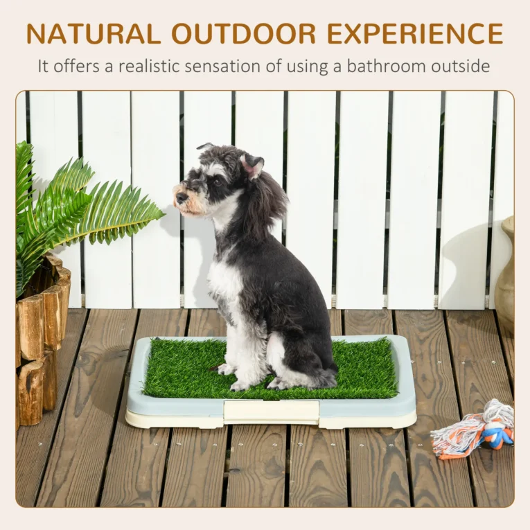 Portable Puppy Training Pad with Tray 46.5x34cm – Blue, white and green