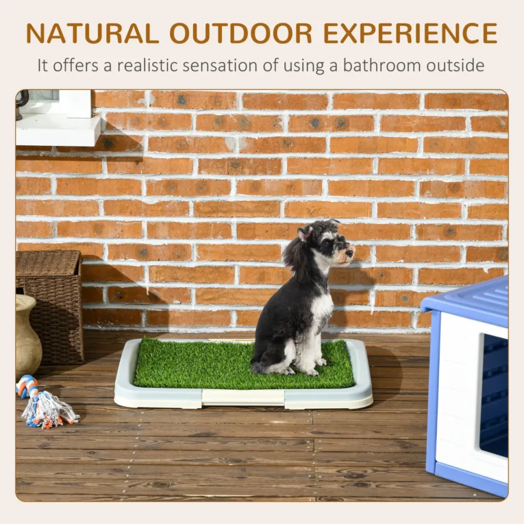 Artificial Grass Puppy Toilet with Removable Tray – Blue