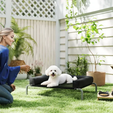 Raised Dog Bed with Removable Bolsters – Black, 90cm