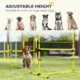 Dog Agility Training Set Adjustable Outdoor – Yellow