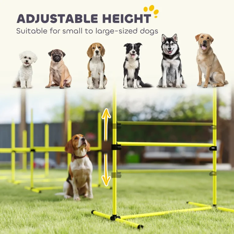Dog Agility Training Set Adjustable Outdoor – Yellow