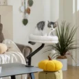 Clamp-On Rotating Cat Desk Bed with Washable Cushion – Cream White