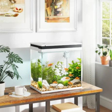 26-Litre Glass Aquarium with Filter, Pump and LED Lights &ndash; White &ndash; detail 2