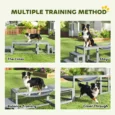 Three-Piece Wooden Dog Agility Course – Grey