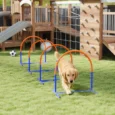 Four-Piece Dog Agility Set with Carry Bag – Blue and Orange