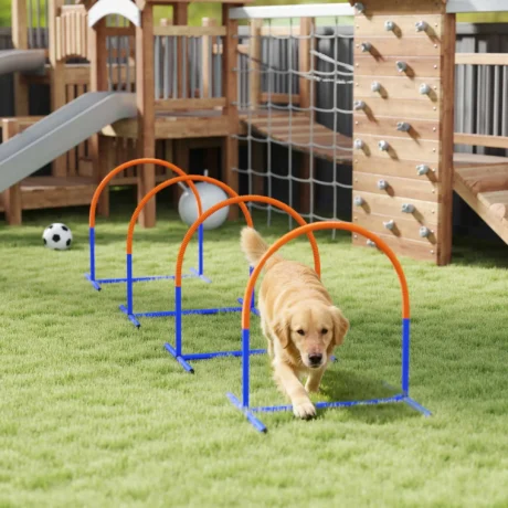 Four-Piece Dog Agility Set with Carry Bag &ndash; Blue and Orange &ndash; detail 2