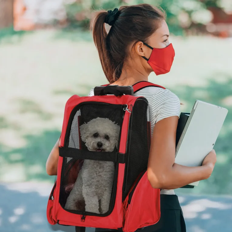 Pet Backpack and Wheeled Trolley Carrier – Red, Under 4kg