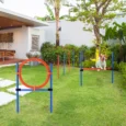 Dog Agility Training Set Adjustable Pole Hoop Hurdle – Blue and red