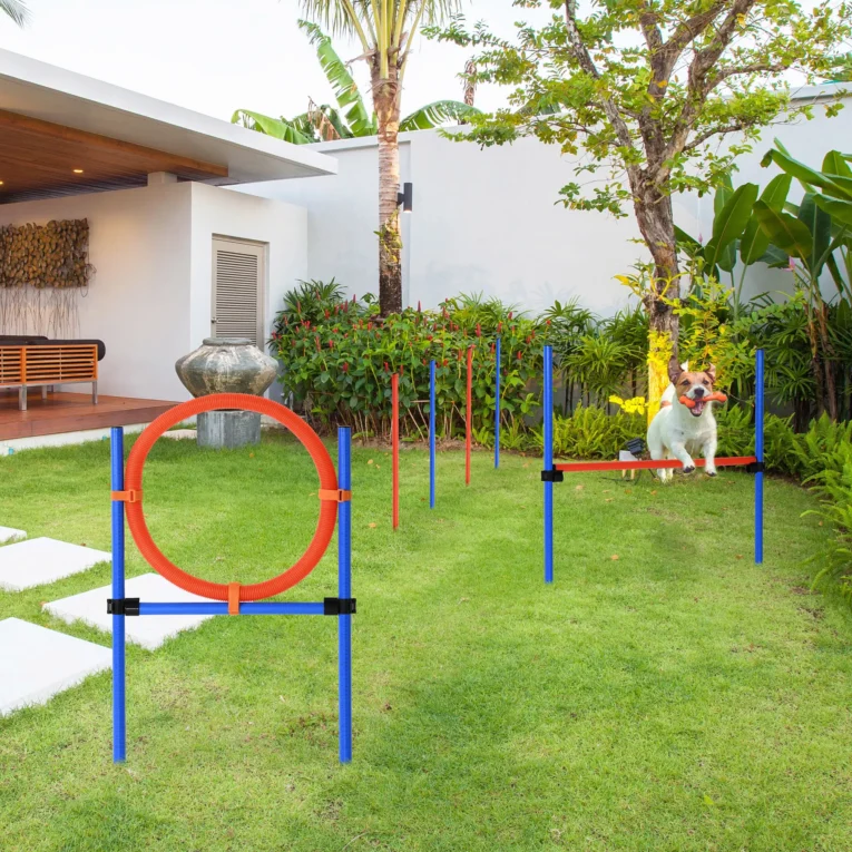 Dog Agility Training Set Adjustable Pole Hoop Hurdle – Blue and red