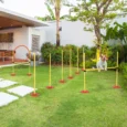 Portable Dog Agility Equipment with Adjustable Hurdles – Yellow