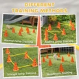 Four-Jump Dog Agility Set with Cones and Poles – Orange