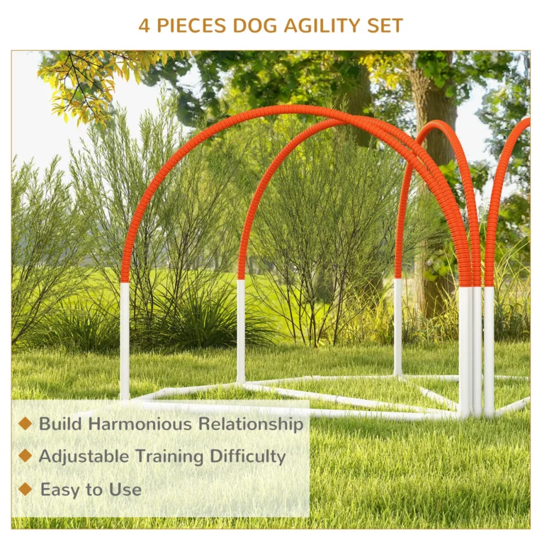 Four-Piece Dog Agility Set with Carry Bag – Orange and White