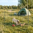 Eight-Panel Folding Dog Playpen with Ground Stakes – Green, 60cm