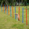 12-Pole Dog Agility Training Set with Ground Stakes and Bag