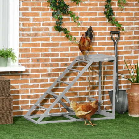 Wooden Chicken Activity Shelf with Swing and Ramp – Grey