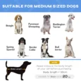 Raised Dog Bed Metal Frame Portable Medium – Blue