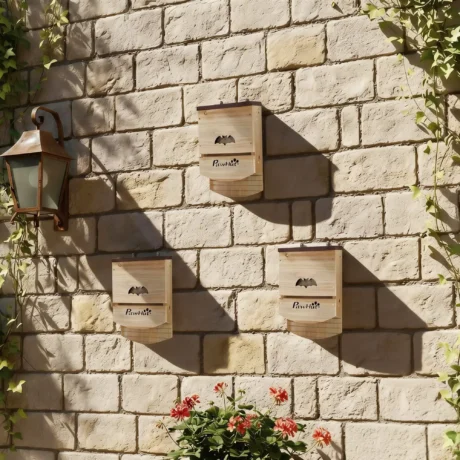 Two-Chamber Wooden Bat Boxes with Hanging Hooks – Pack of Three