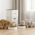 Automatic Cat Feeder Stainless Steel Bowls Pet Food – White, Black Transparent
