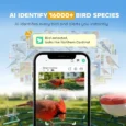 Smart Bird Feeder with 2K Camera and Solar Panel – Dark Green
