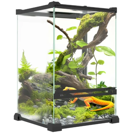 12L Glass Terrarium with Front Door &ndash; Black, 30cm